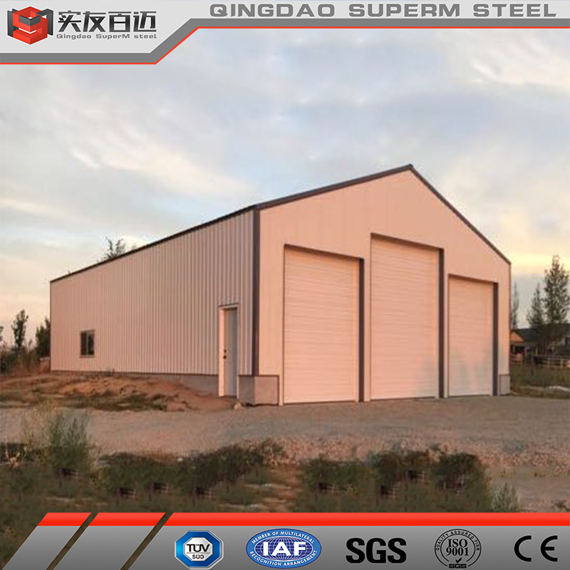 Industrial Shed Prefabricated Light Steel Metal Prefab House Steel Structure Warehouse