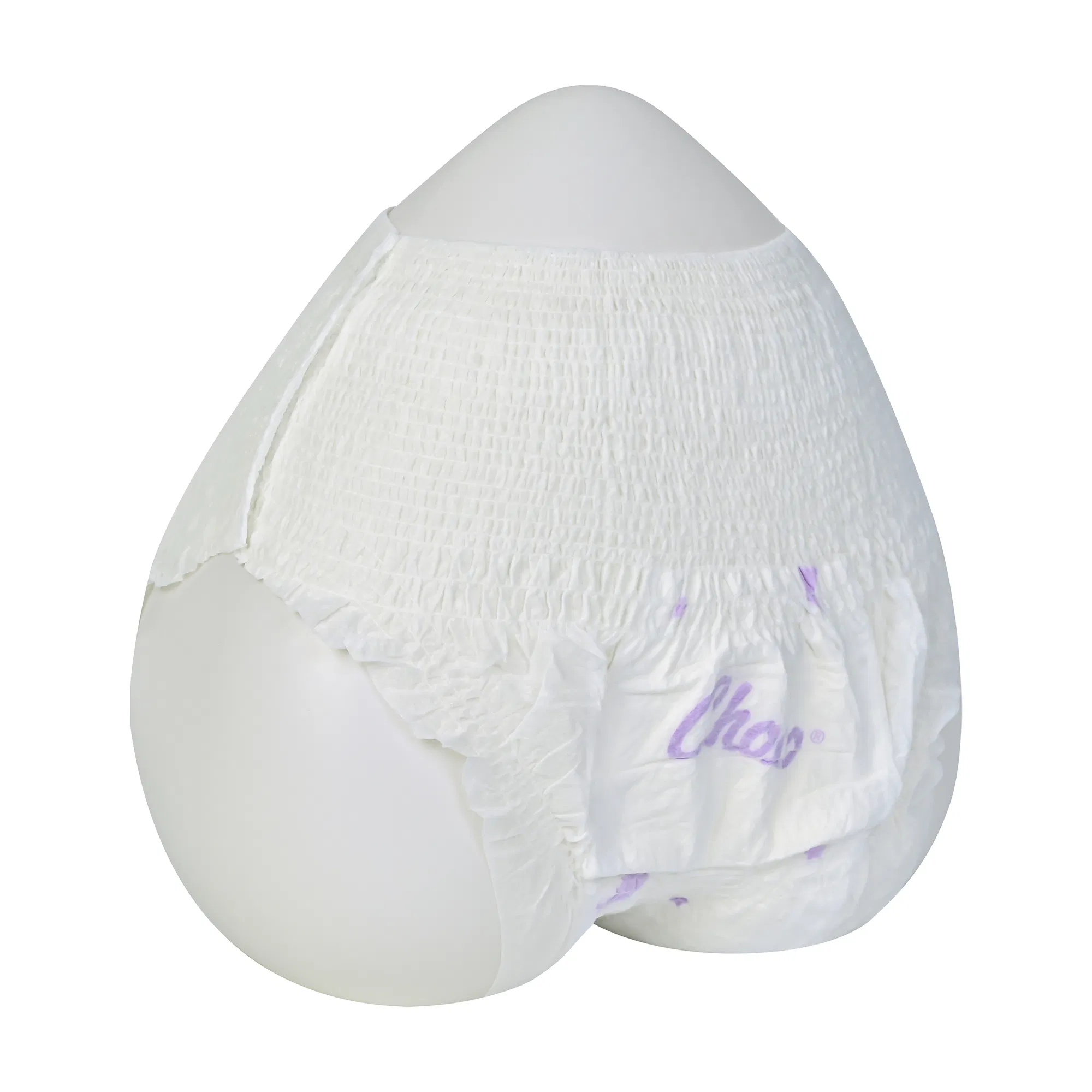 Soft and Absorbent Sanitary Napkins for Monthly Use