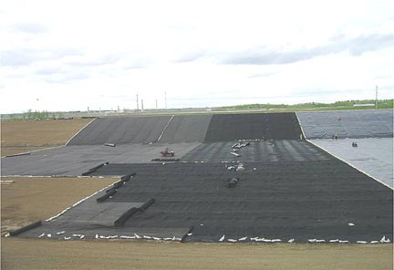 ASTM Standard 3D Composite Drainage Geonet for Landfill Project in Australia