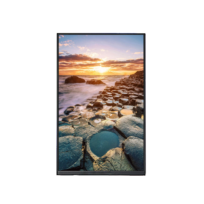 8-дюймовый TFT LCD модуль 800x1280 IPS, LVDS интерфейс