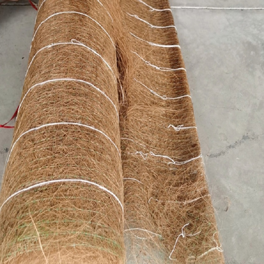 Tr 200GSM-1000GSM Customized Size Coconut/Coco Coir/Fiber Blanket/Mat for Slope Protection/Ecological Restoration/Soil Management