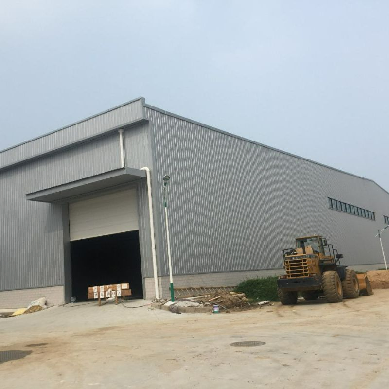Multi Span Light Steel Structure Warehouse (XGZ-SSW 439)