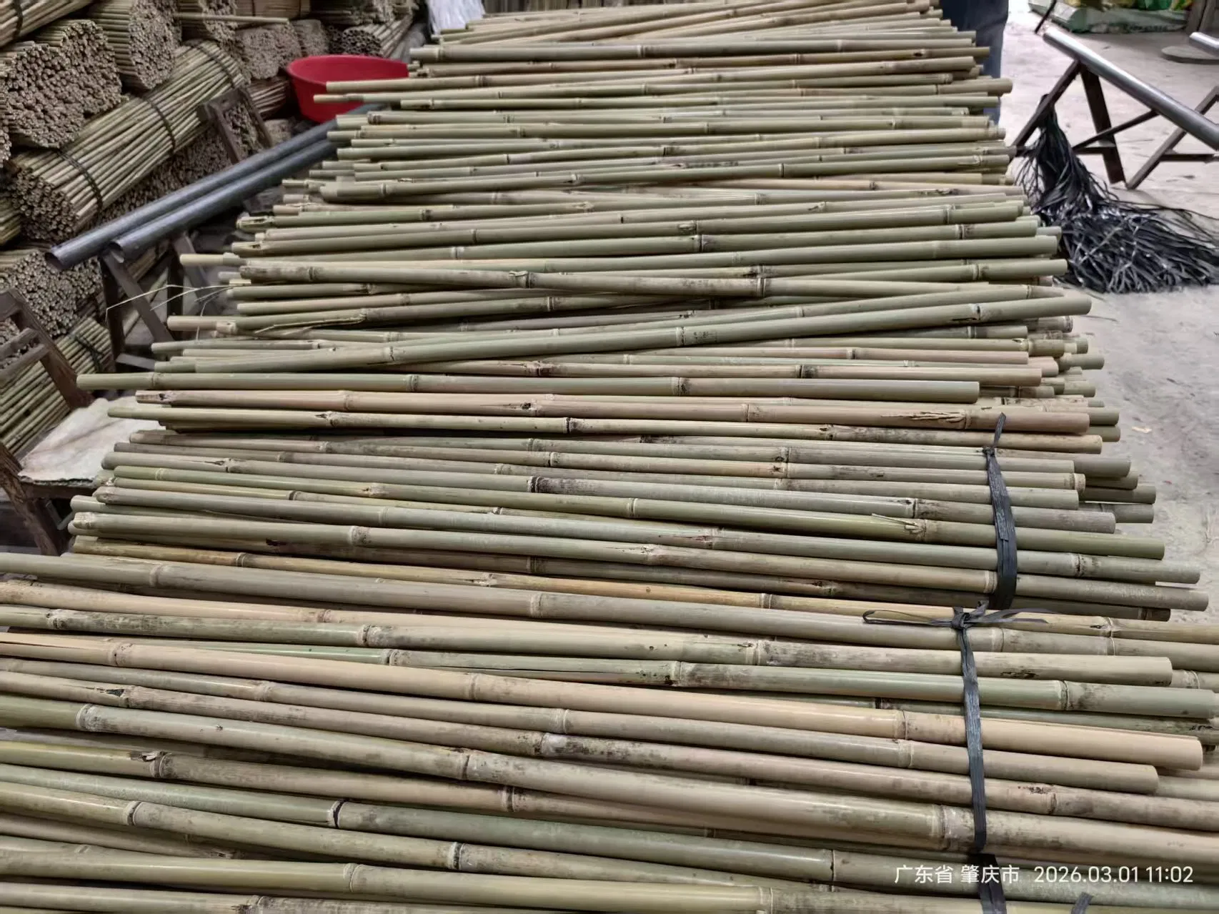 Tonkin Bamboo Pole Stake Stick Cane for Plant/Tree/Flower Support Bamboo M