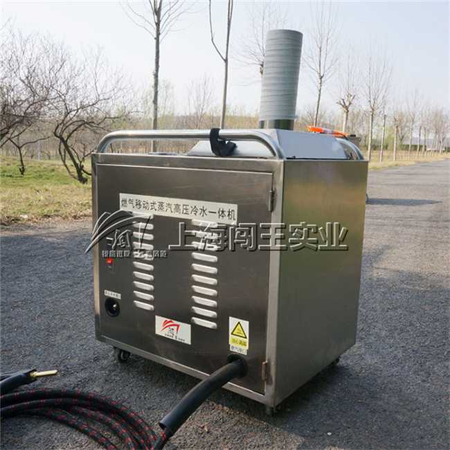 Car Engine Caebon Cleaning Machine High Pressure Car Washer for Engine