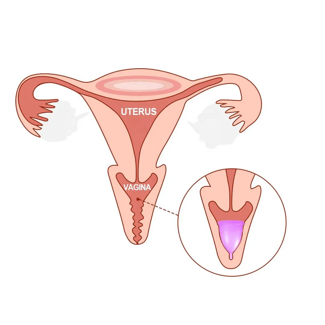 OEM Wholesale Best Selling Silicone Copa Menstrual Feminine Hygiene Period Cup High Quality Menstrual Cup