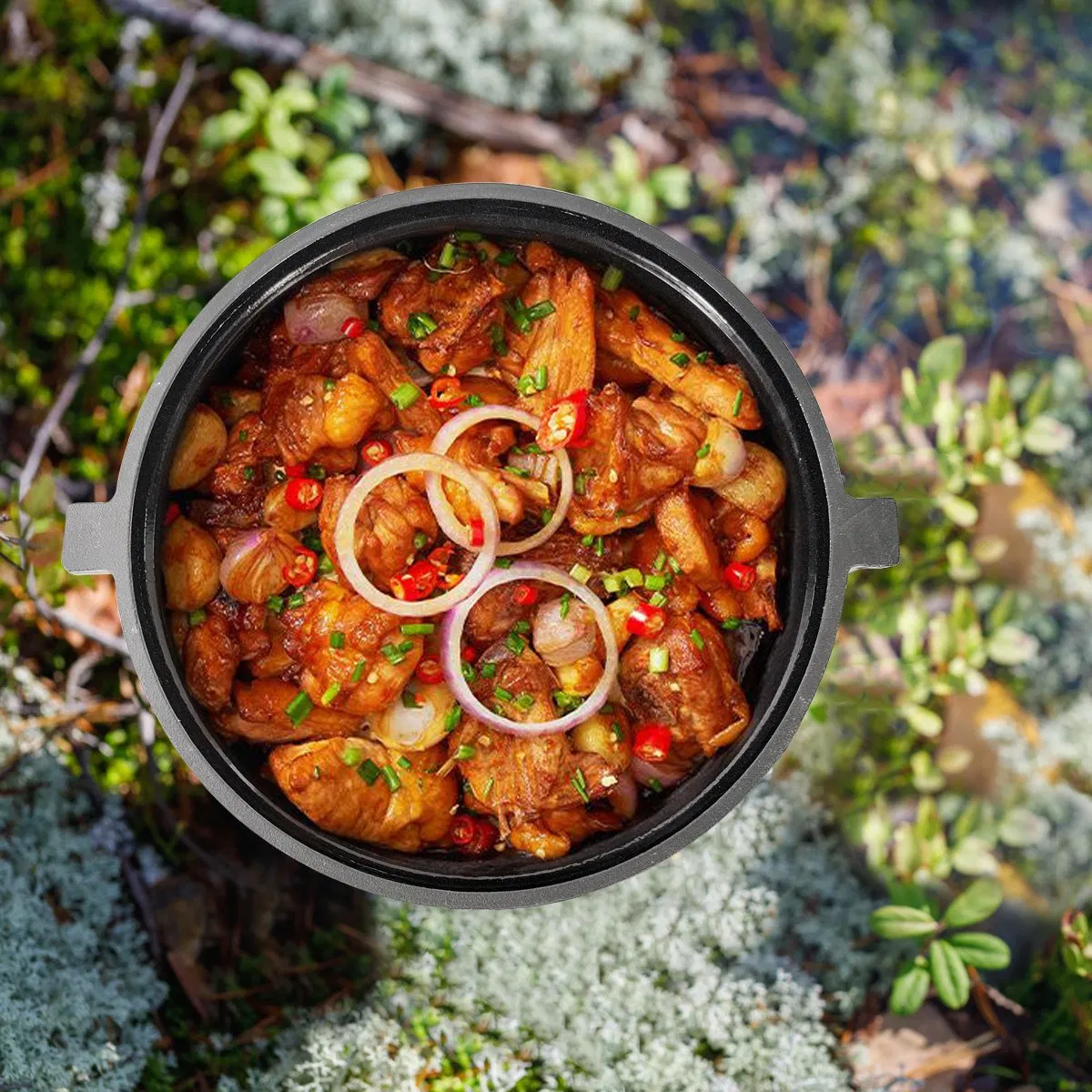 Чугунный котелок для пикника и охоты Cookwin