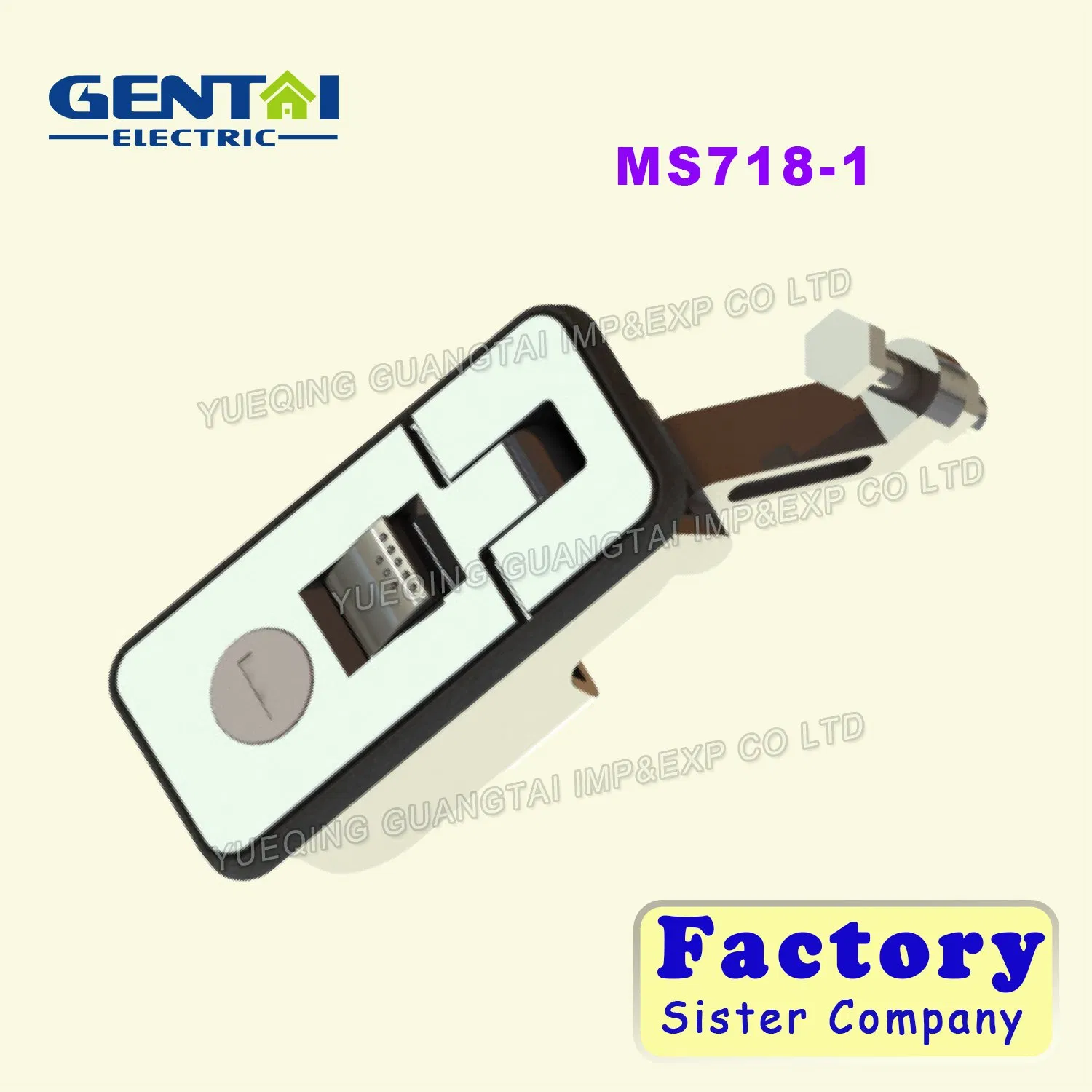 Ms718-3c Paddle Lock Tool Box Lock