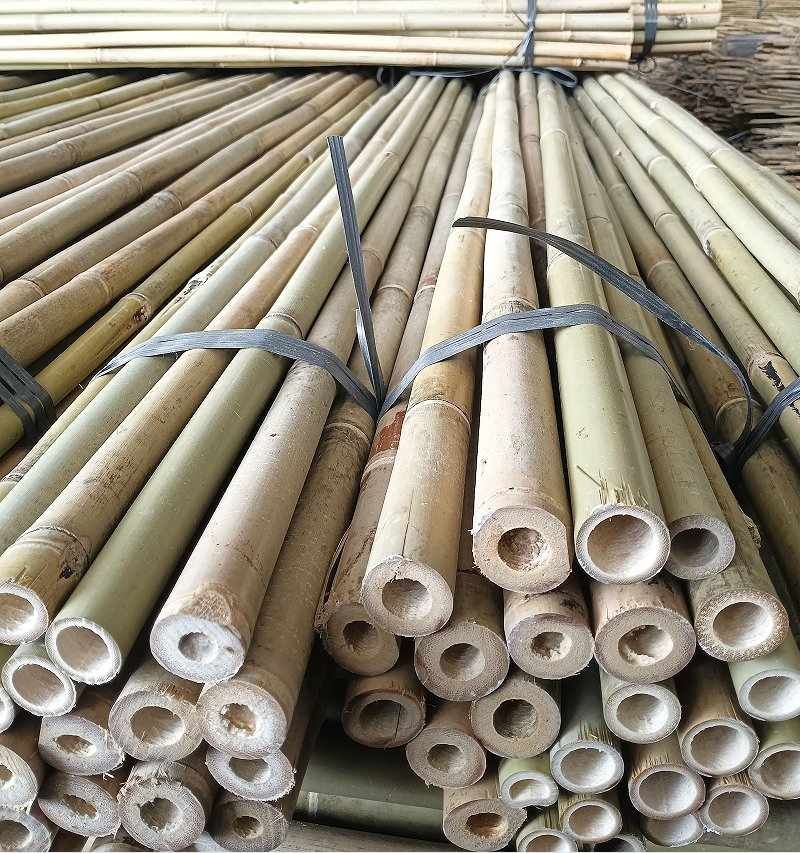 Bamboo Poles From The Hometown of Bamboo in China, with Beautiful Prices and First-Class Quality