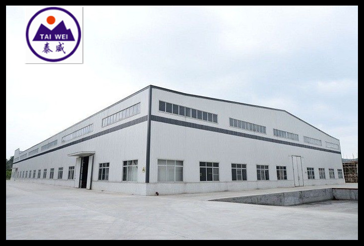Customized Prefabricated Steel Frame Construction Workshop (TW999J)