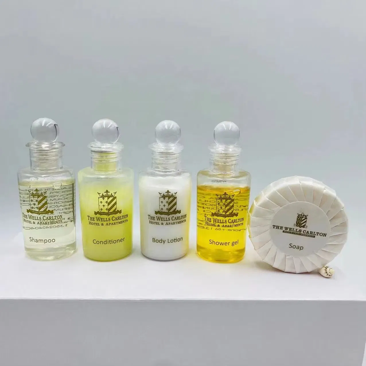 Custom Luxury Hotel Disposable Mini Shampoo and Conditioner Hotel Toiletry Supplies
