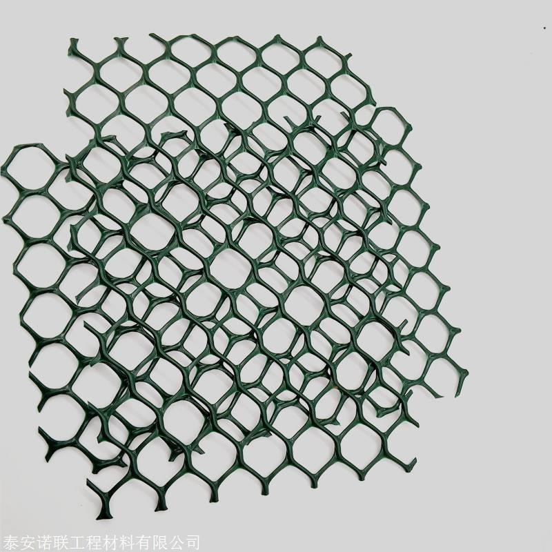 Erosion Control Geonet for Dam Faces, Pipeline Protection, and Environmental Restoration Works