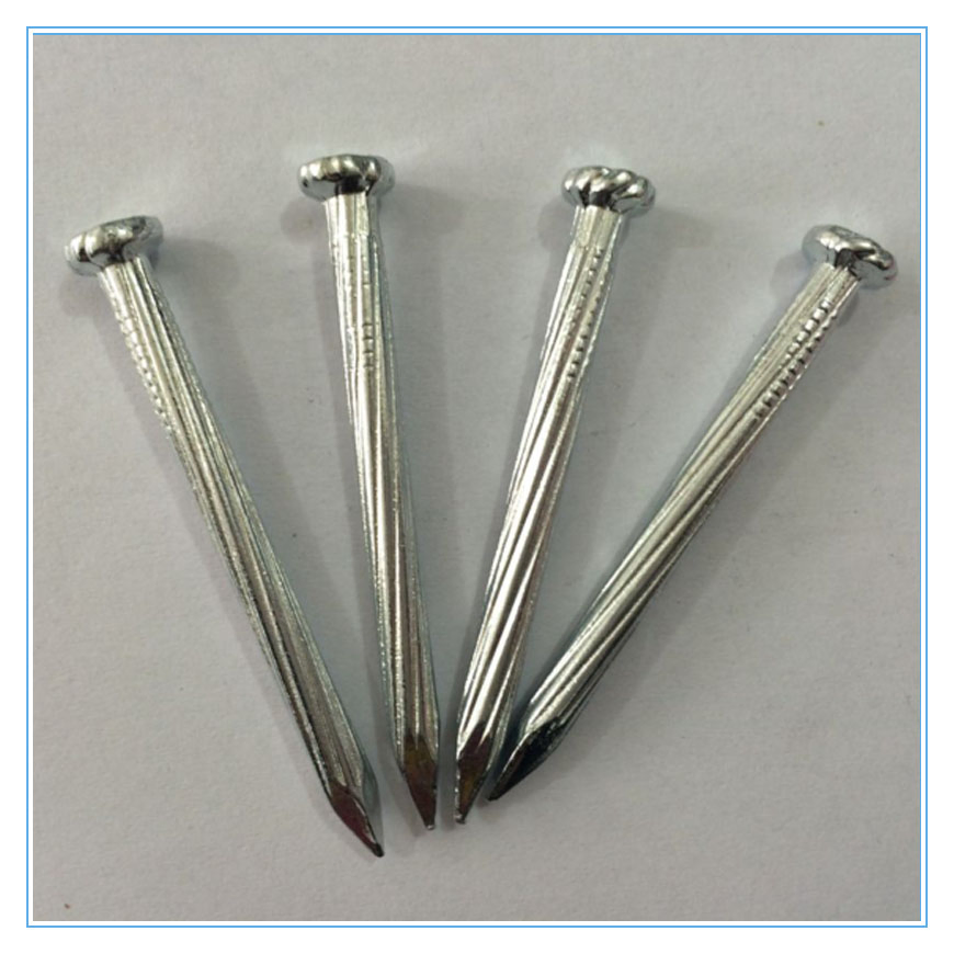 Electro Galvanized Concrete Nail with Smooth Shank for Construction