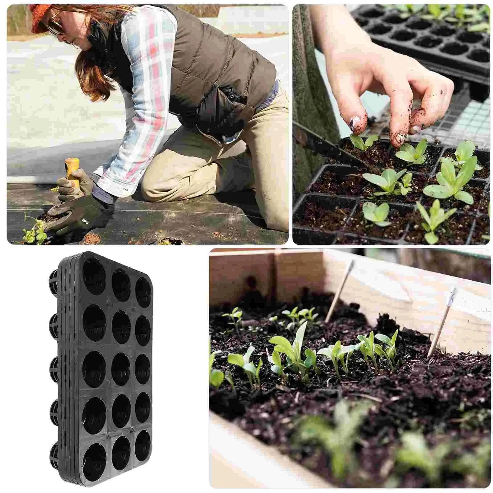 5PCS Phalaenopsis Tray Plant Germination Trays Planter Fruits Sowing Supply Garden Planting Nursery Greenhouse Plates Plastic Tray