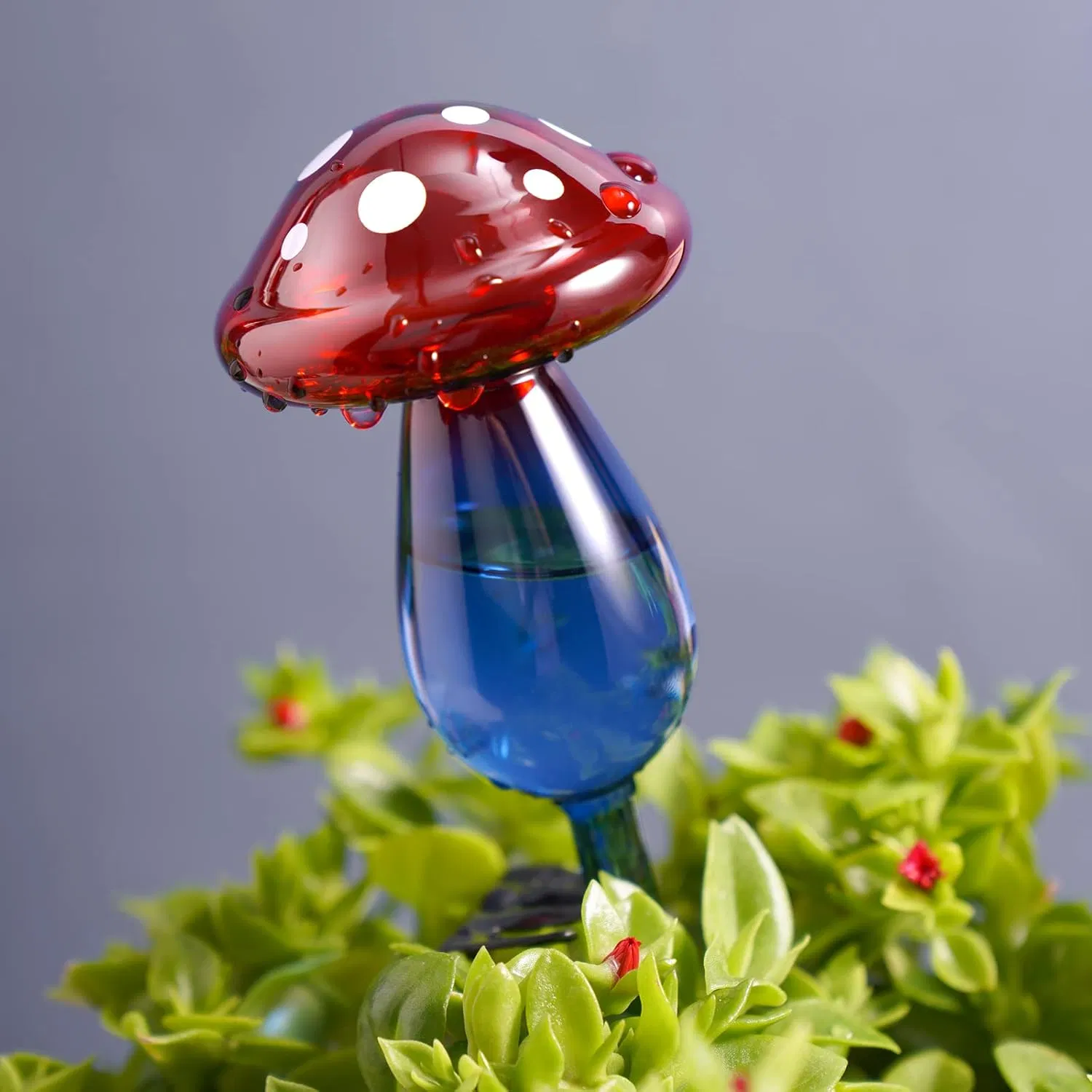 10" Long Gradient Red Blue Hand-Blown Glass Globe Pot Plant Waterer