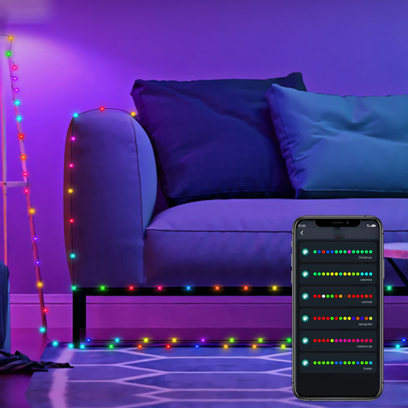 Factory Price Intelligent Point Control LED Outdoor Leather String Light