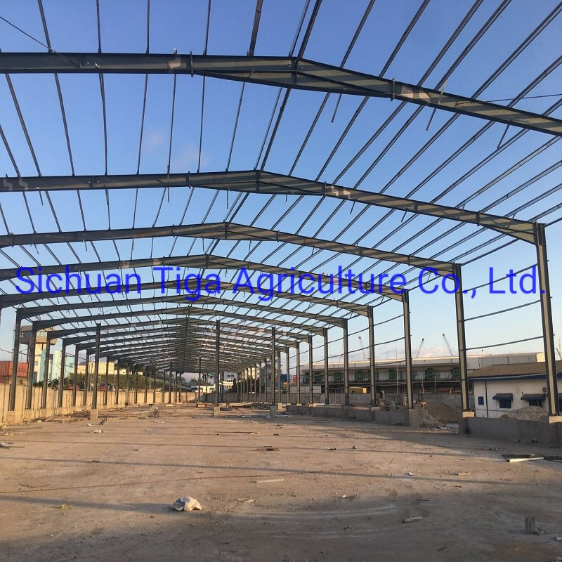High Strength and High Seismic Resistance Fast Installation Prefabricated Steel Structure Building