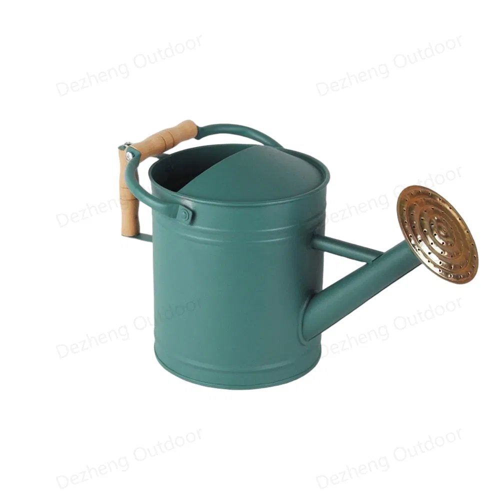 Wholesale Watering Can Plant Watering Perfect for Indoor Outdoor