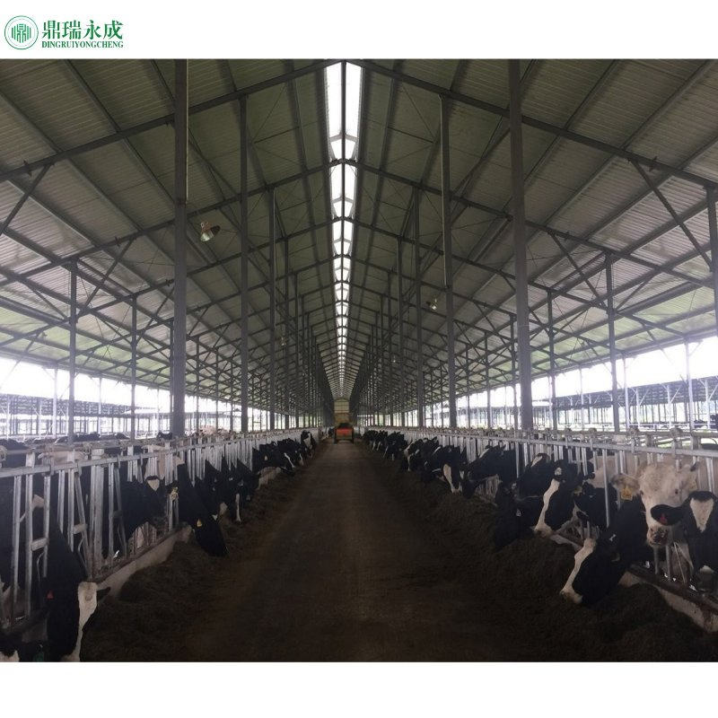 Quick Installation Prefabricated Steel Customized Greenhouse/Barn/Chicken House/Cowshed/Pig Farm Steel Structure