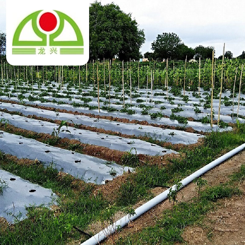 Black/Green/White Compostable 100% Virgin PP/PE/Plastic Woven Geotextile/Ground Cover/Anti Weed Barrier/Control Mat for Agriculture/Garden/Landscape