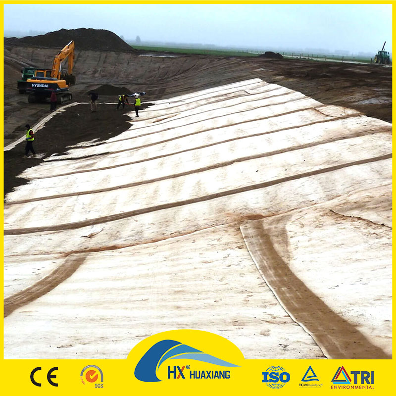 Geosynthetic Clay Liner Gcl Anti-Leakage with 5000g Weight Low Price for Municipal Engineering
