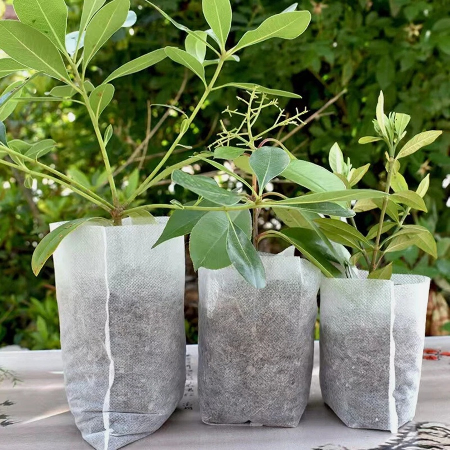 Non Woven Flower Pot Container Breathable Seedling Bag for Agriculture Usage