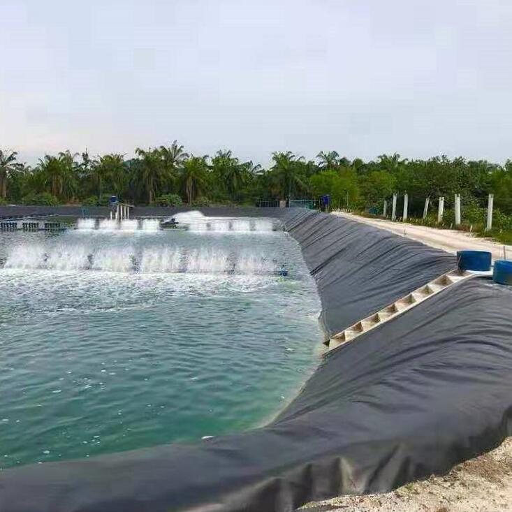 1.5mm Waterproof HDPE Pond Membrane for Fish Farm and Landfill
