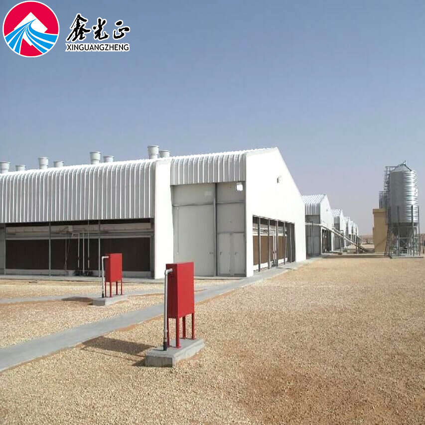 H Section Column Large Span Steel Structure Prefabricated Factory Workshop