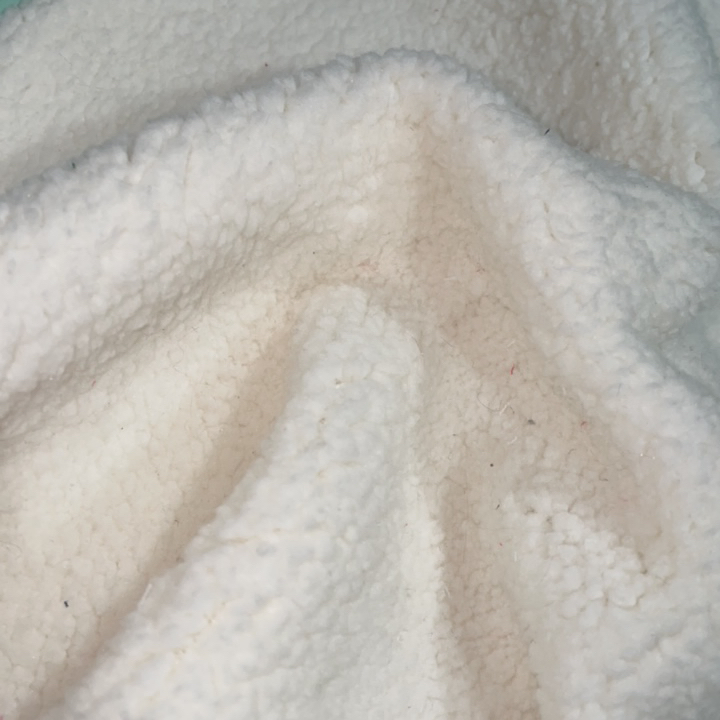 Outdoor Winter Poly Boa Sherpa Fabric: Knitting Fleece, 100% Polyester, 250GSM, 155cm Width
