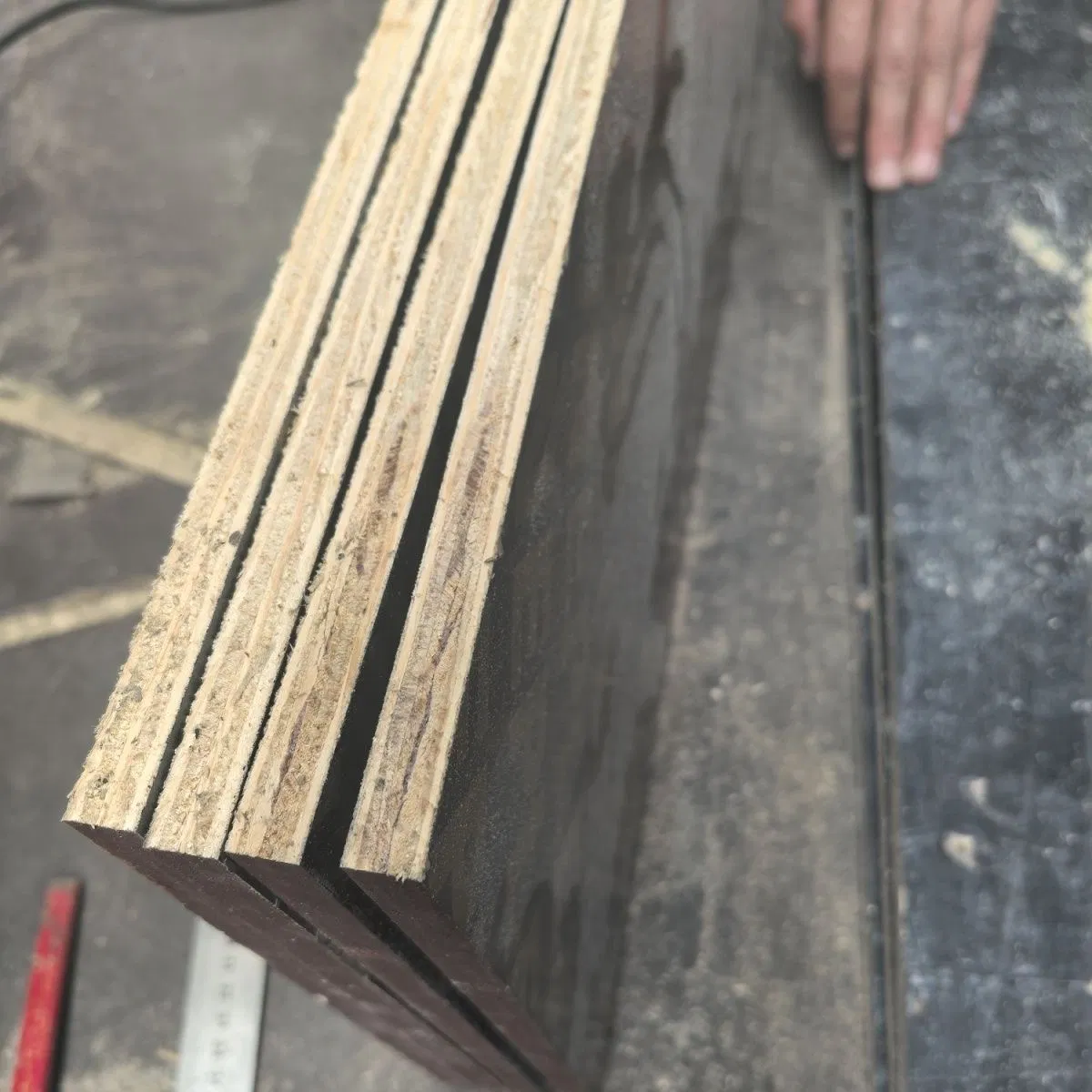 Black Film Faced Construction Plywood for Building Framework