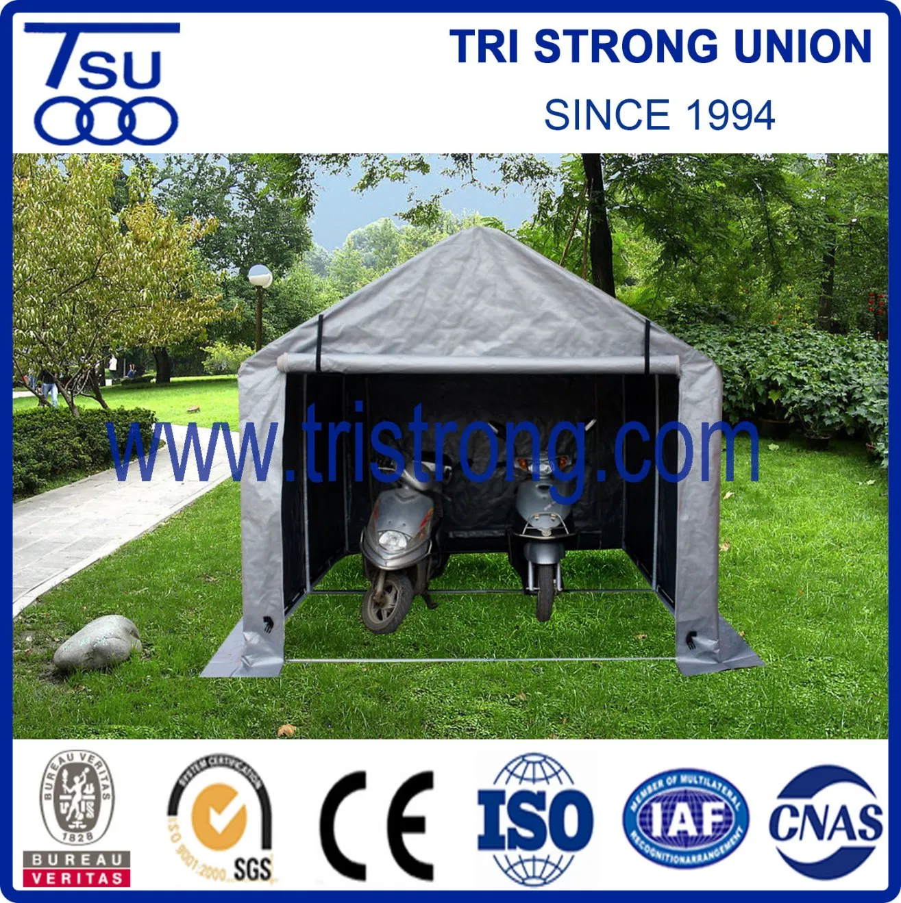 Family Mini Shelter/Portable Small Carport/Greenhouse (TSU-250A)