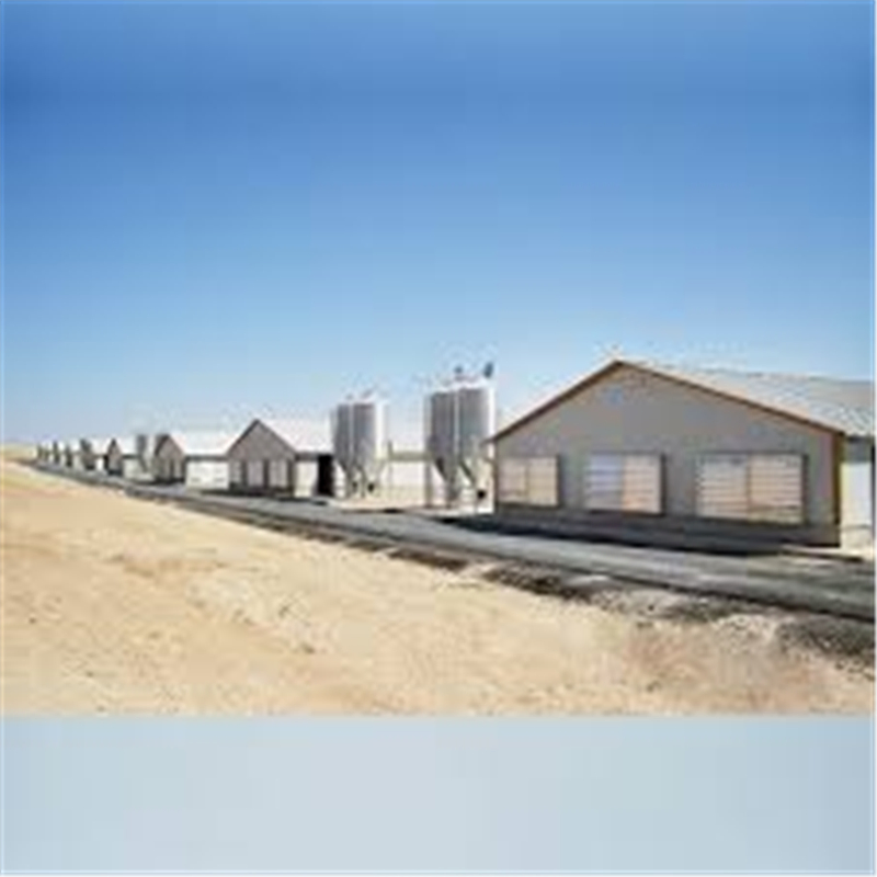 Structural Steel Building for Customized