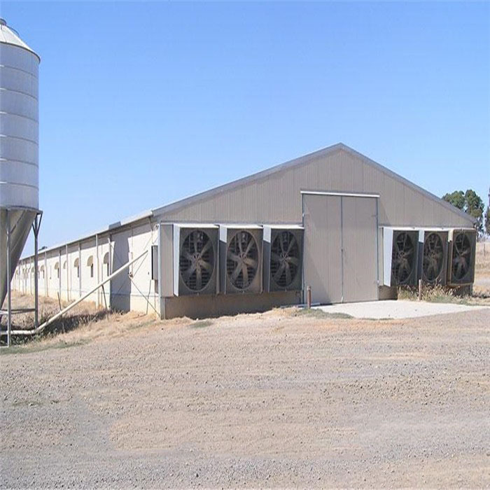 Prefab Galvanized Steel Chicken Farm with Automatic Equipments