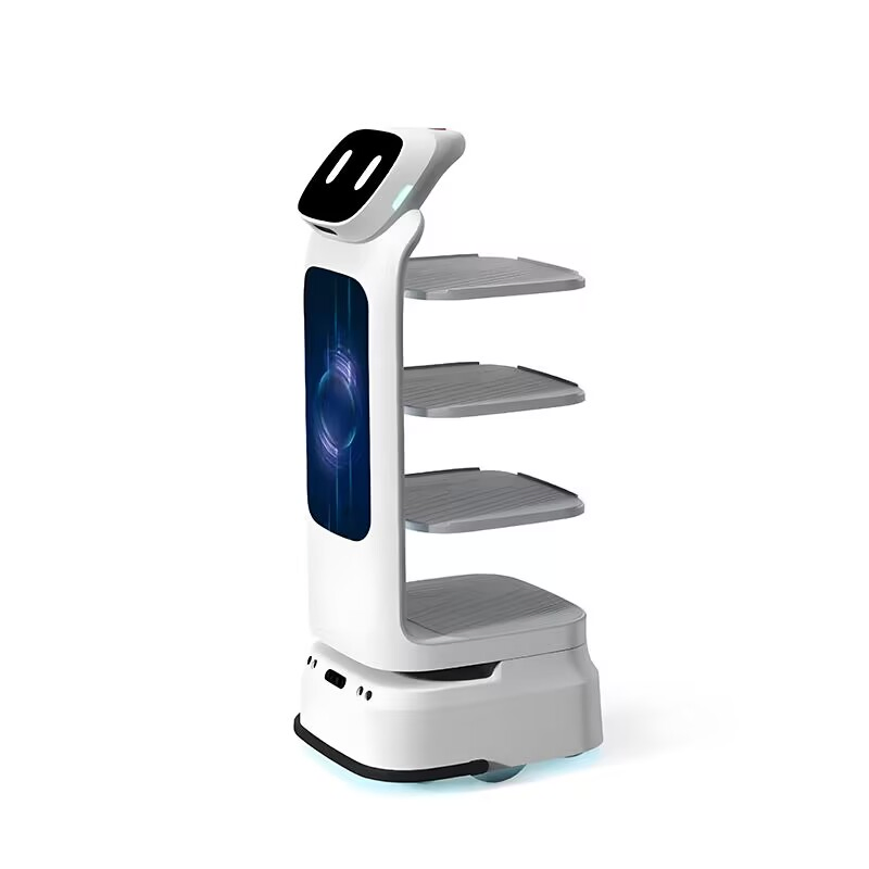 Custom Intelligent Mobile Delivery Robot for Restaurant Hotel Room