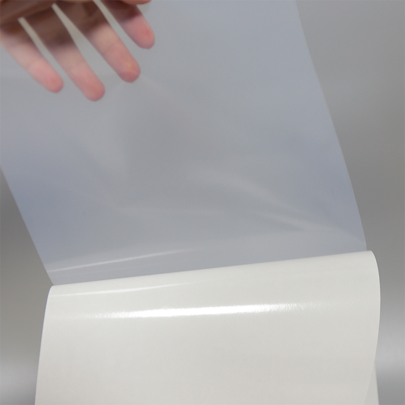 Semi-Transparent Thermal Film Large Roll of Self Adhesive Paper Sticker Material