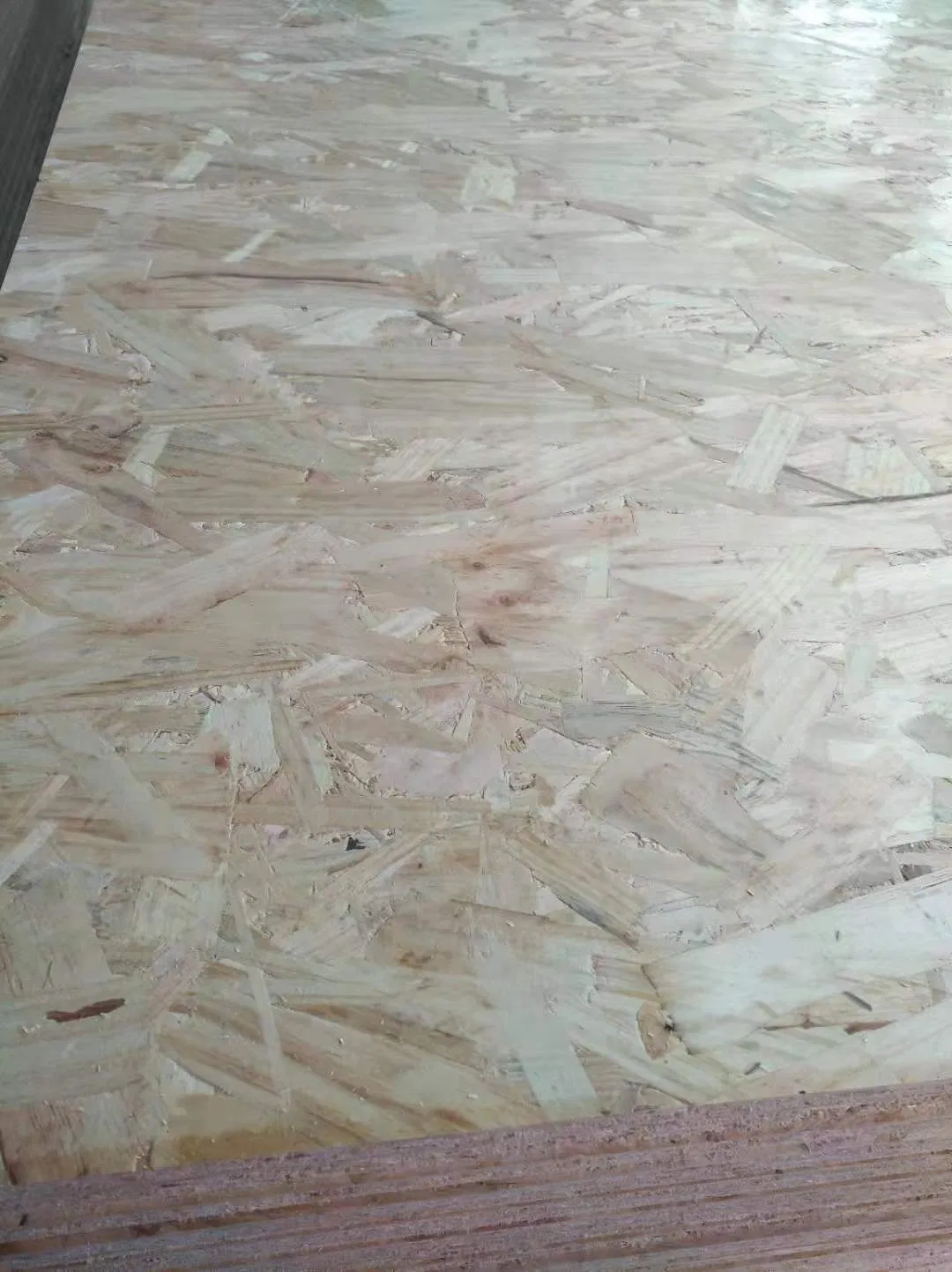Super Quality Luli OSB for Furniture Grade