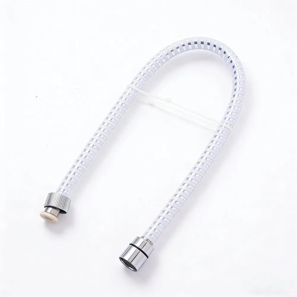 High-Quality Modern in Chrome Finish for Stylish Bathrooms Shower Hose
