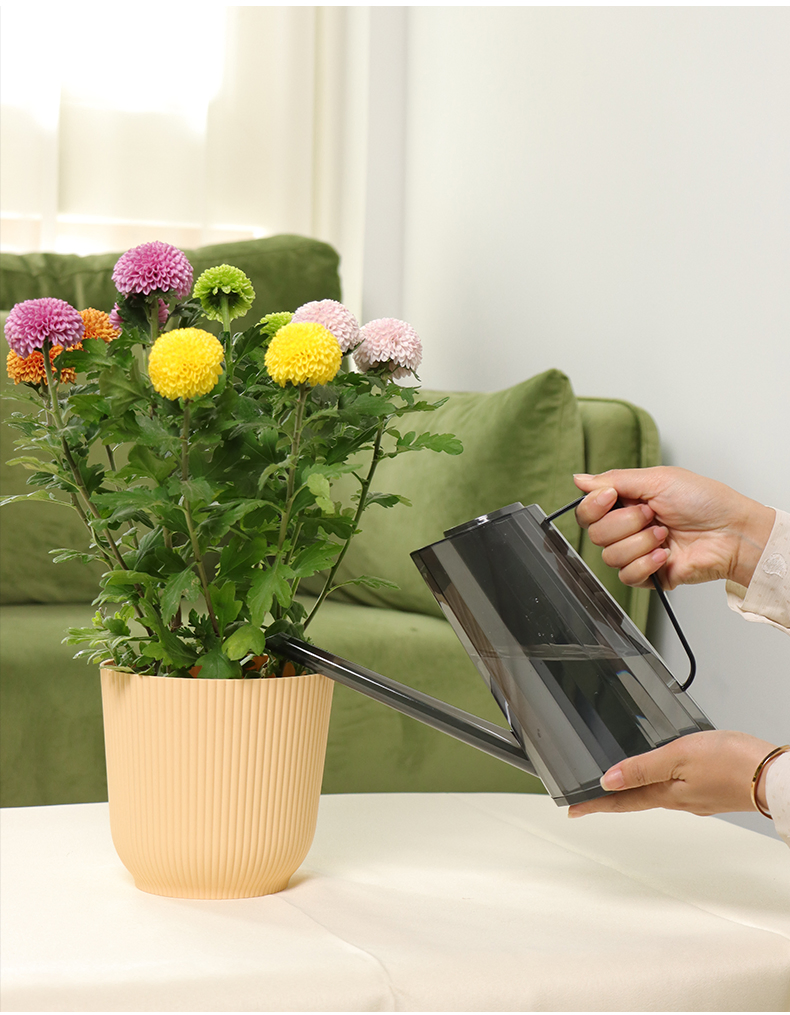 Premium 1.5L Plating Water Can for Indoor Plants