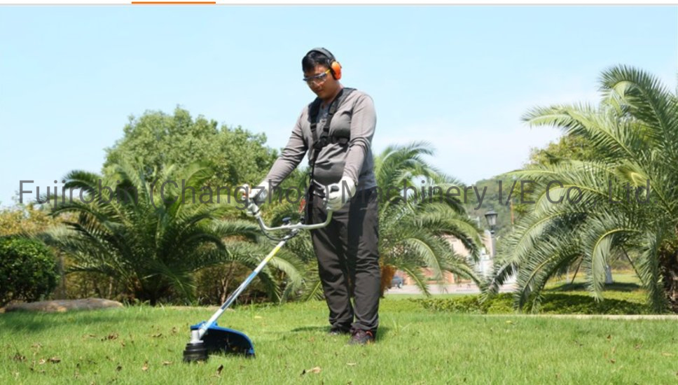 Changzhou Professional Factory Brush Cutter Grass Trimmer Agriculture Using Power Tools