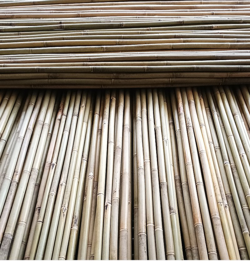 The Best Quality Bamboo Poles From China