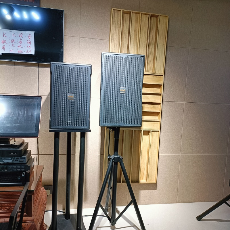 Studio-Grade K210 10-Inch Speaker for High-Quality Monitoring Sessions