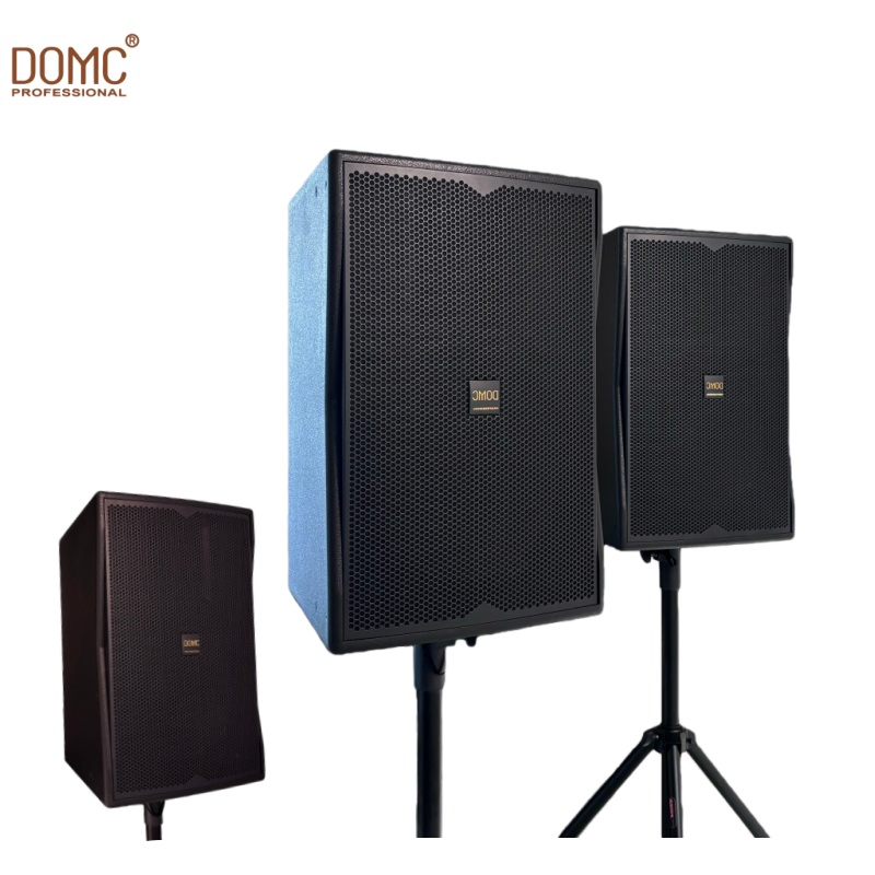 10-Inch Domc K210 Speaker with Excellent Frequency Response