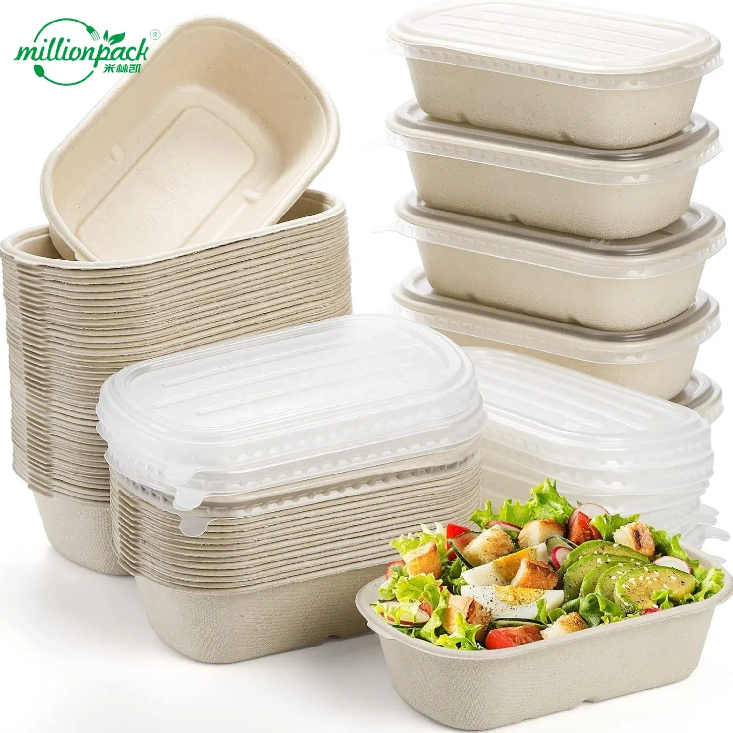 Compostable Sugarcane Bagasse Square Box with Secure Lid for Takeaway Meals