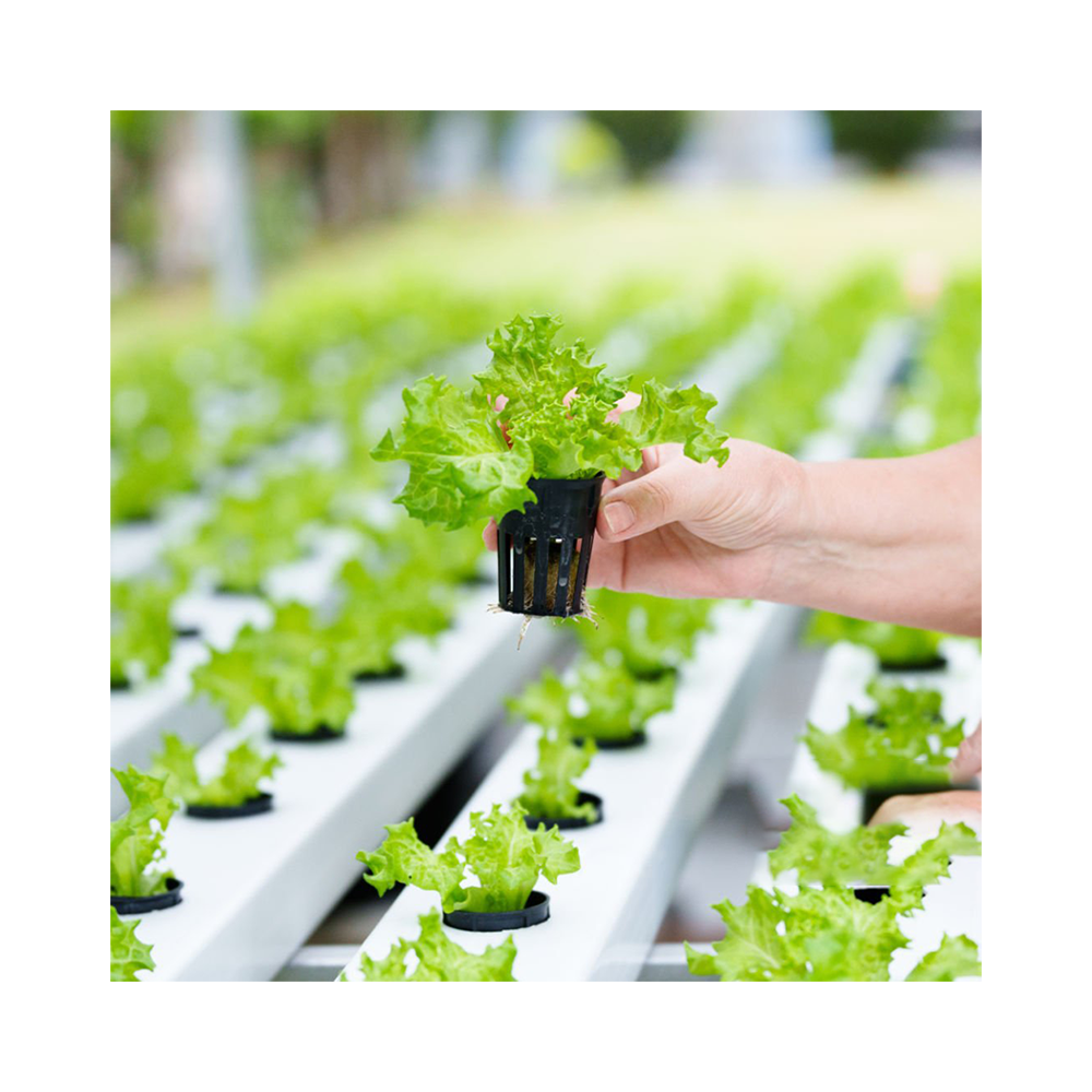 Горшок сетчатый для гидропоники черный пластик 2.5-10 см