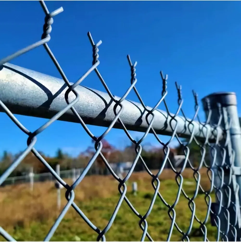 Chain Link Fence Wire Mesh System Use for Playground/Farm/Grassland