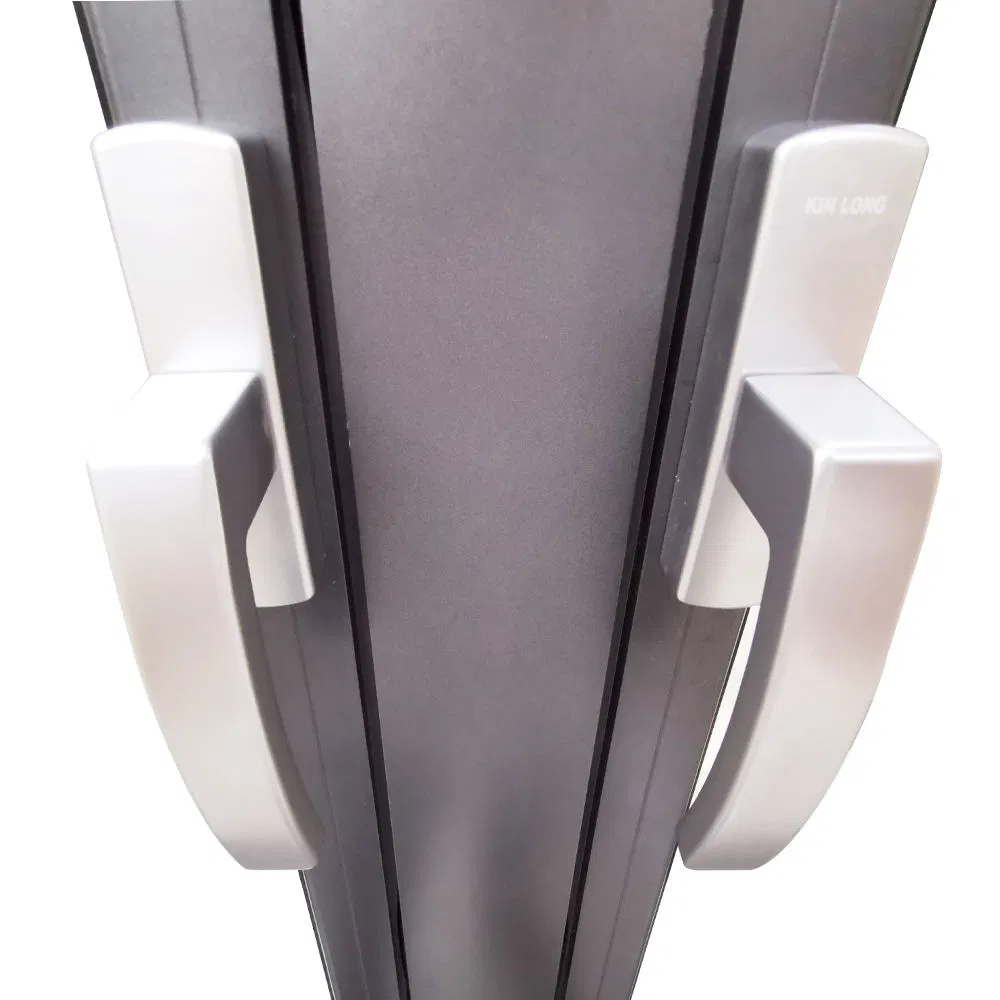 Stylish Modern Aluminium French Casement Window for Homes