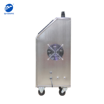 Portable 5g/H Car Ozone Generator, Car Ozone Air Purifier