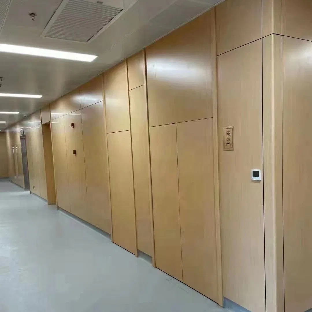 High Quality Hospital Specific Environmentally Friendly Cement Fiber Wall Panel