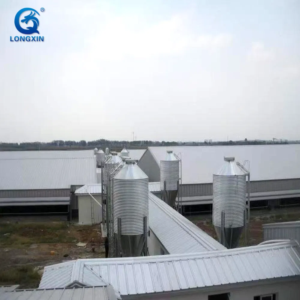 Easy Build Light Steel Steel Structure Prefabricated Pig Breeding Farm Livestock Building House