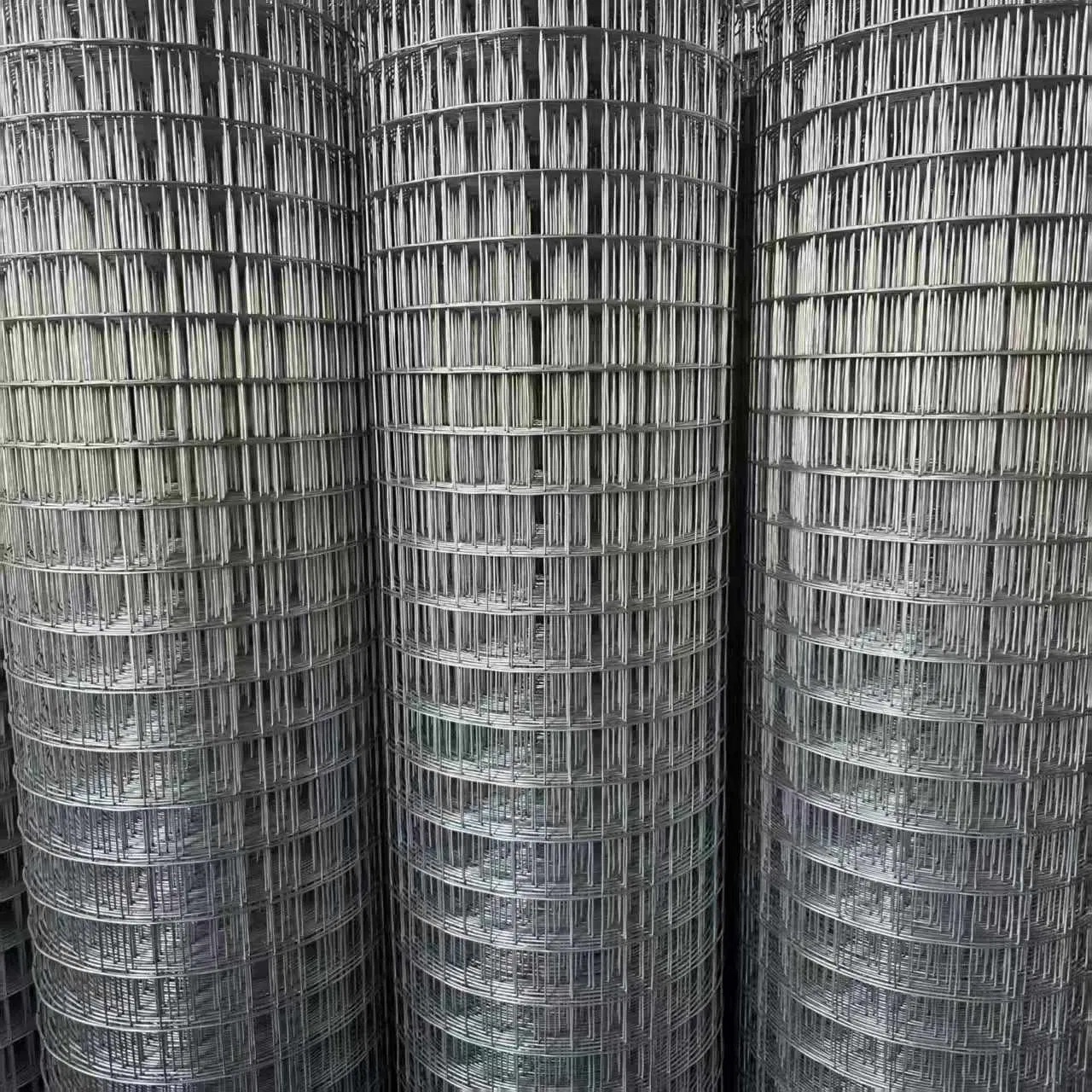 Square Opening Welded Wire Mesh Roll