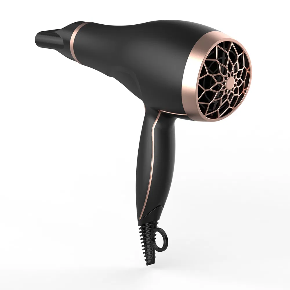 Professional Powerful AC Hair Dryer High Power Ion Home Hair Dryer